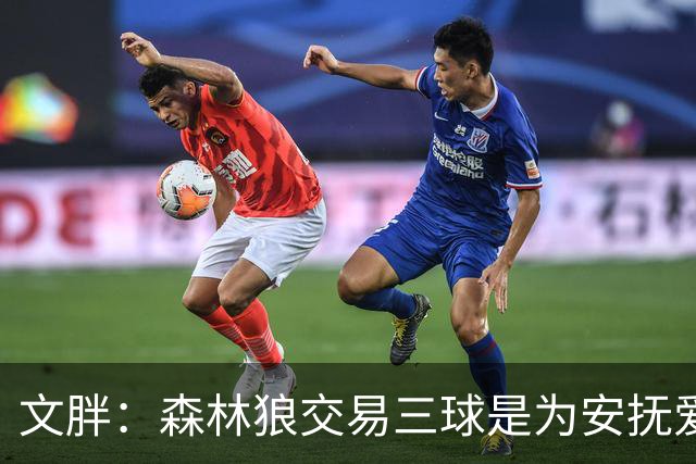 文胖：森林狼交易三球是为安抚爱德华兹 他一赛季被包夹近1000次