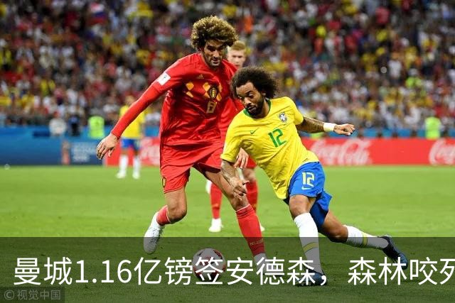 曼城1.16亿镑签安德森，森林咬死现金支付，创英球员转会纪录